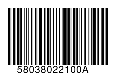 58038022100A