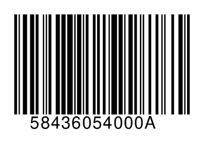 58436054000A