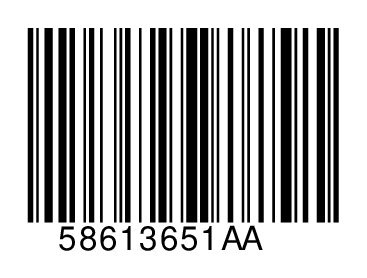 58613651AA