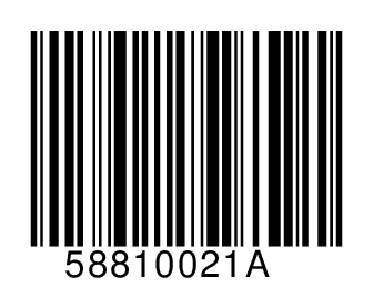 58810021A
