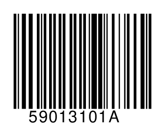 59013101A