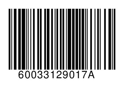60033129017A