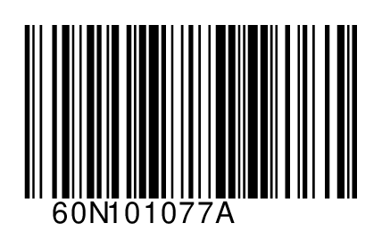 60N101077A