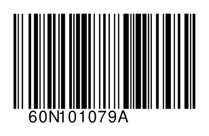60N101079A