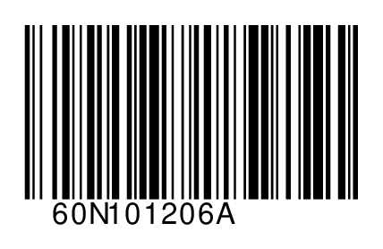 60N101206A