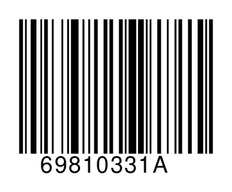 69810331A