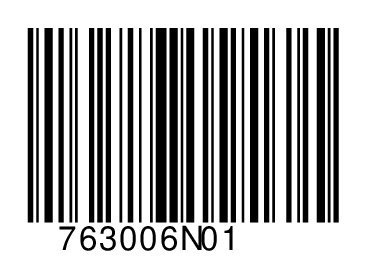 763006N01