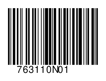 763110N01