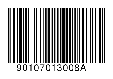 90107013008A