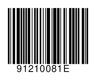 91210081E