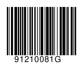 91210081G