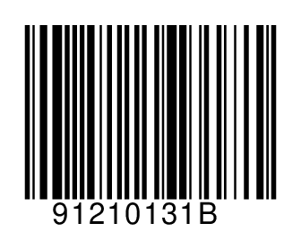 91210131B