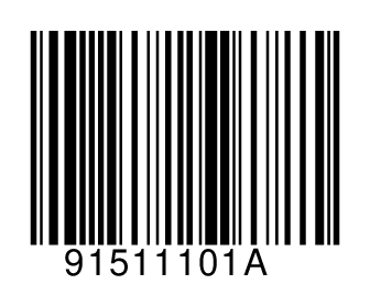 91511101A