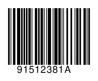 91512381A