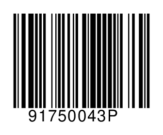 91750043P
