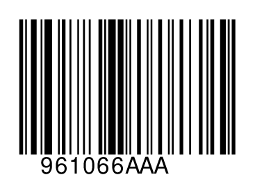 961066AAA