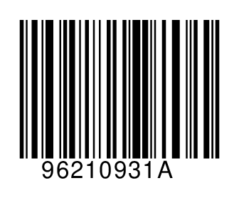 96210931A