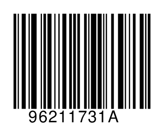 96211731A