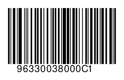 96330038000C1
