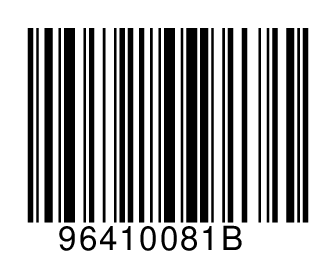 96410081B