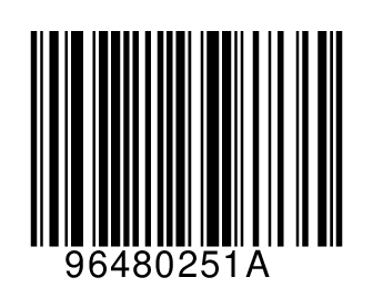 96480251A