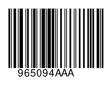 965094AAA