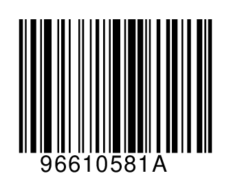 96610581A