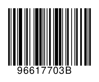 96617703B