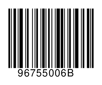 96755006B