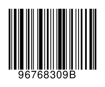 96768309B