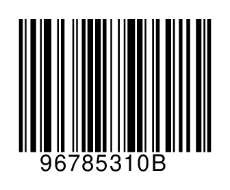 96785310B