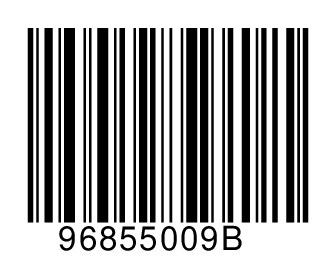 96855009B
