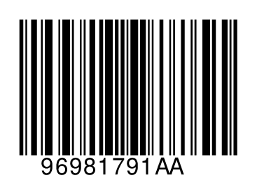 96981791AA