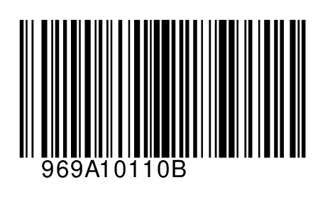 969A10110B