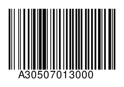 A30507013000