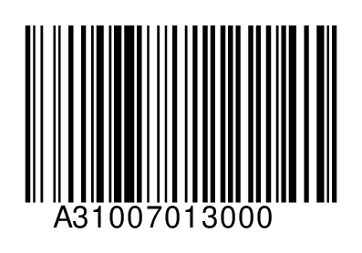 A31007013000