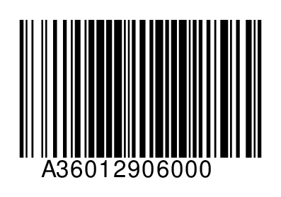 A36012906000
