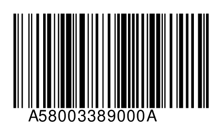 A58003389000A