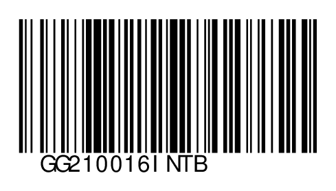 GG210016INTB