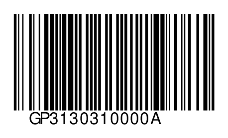 GP3130310000A