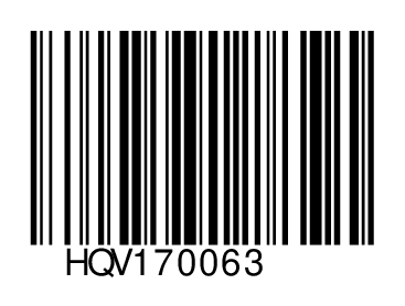 HQV170063