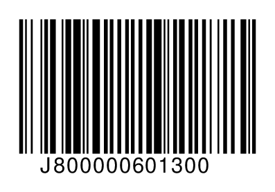 J800000601300
