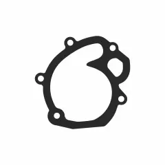 Прокладка помпи BMW RS11517690490 (висока якість) (Україна)
