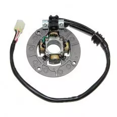 Статор генератора ELECTROSPORT ESC380