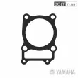 Прокладка циліндра Yamaha 4GY-11351-00-00