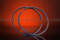 Кільця поршневі Honda LEAD 100 1,25 діаметр 52,25 (SEE) комплект (EVO)