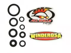 Набір сальників двигуна WINDEROSA W822228