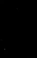 Shaft,reverse idle l (24551-31G00-000)