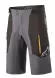 Шорти Alpinestars Alps 6.0