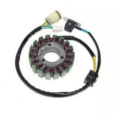Статор генератора ELECTROSPORT ESG950